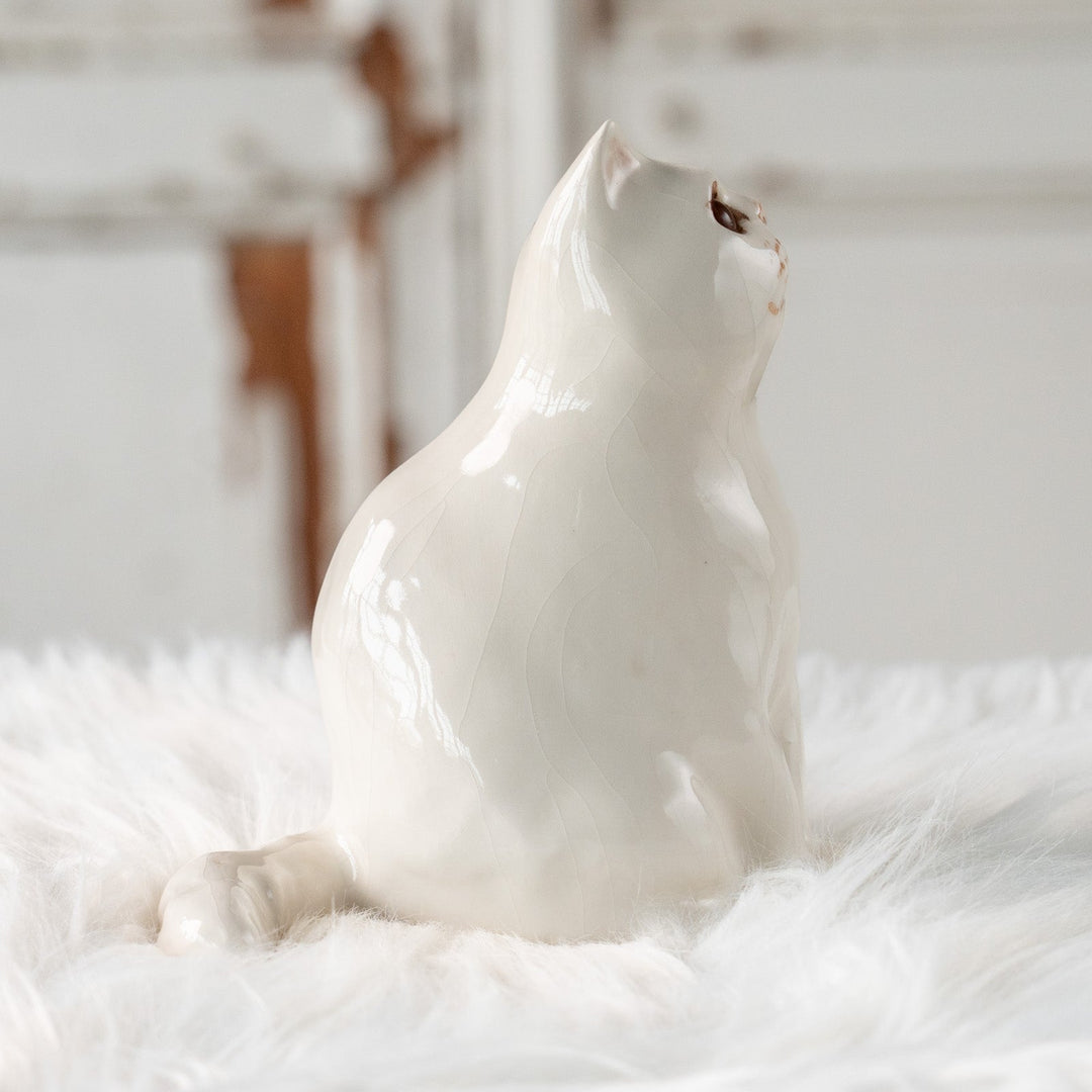 【Winstanley Cat ウィンスタンレイ キャット】どっしりしたフォルムがたまらない可愛さ オッドアイ スノーウィ 白猫 /25L