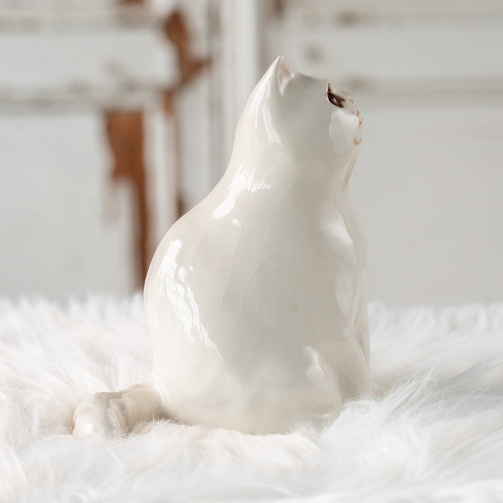 【Winstanley Cat ウィンスタンレイ キャット】どっしりしたフォルムがたまらない可愛さ オッドアイ スノーウィ 白猫 /25L