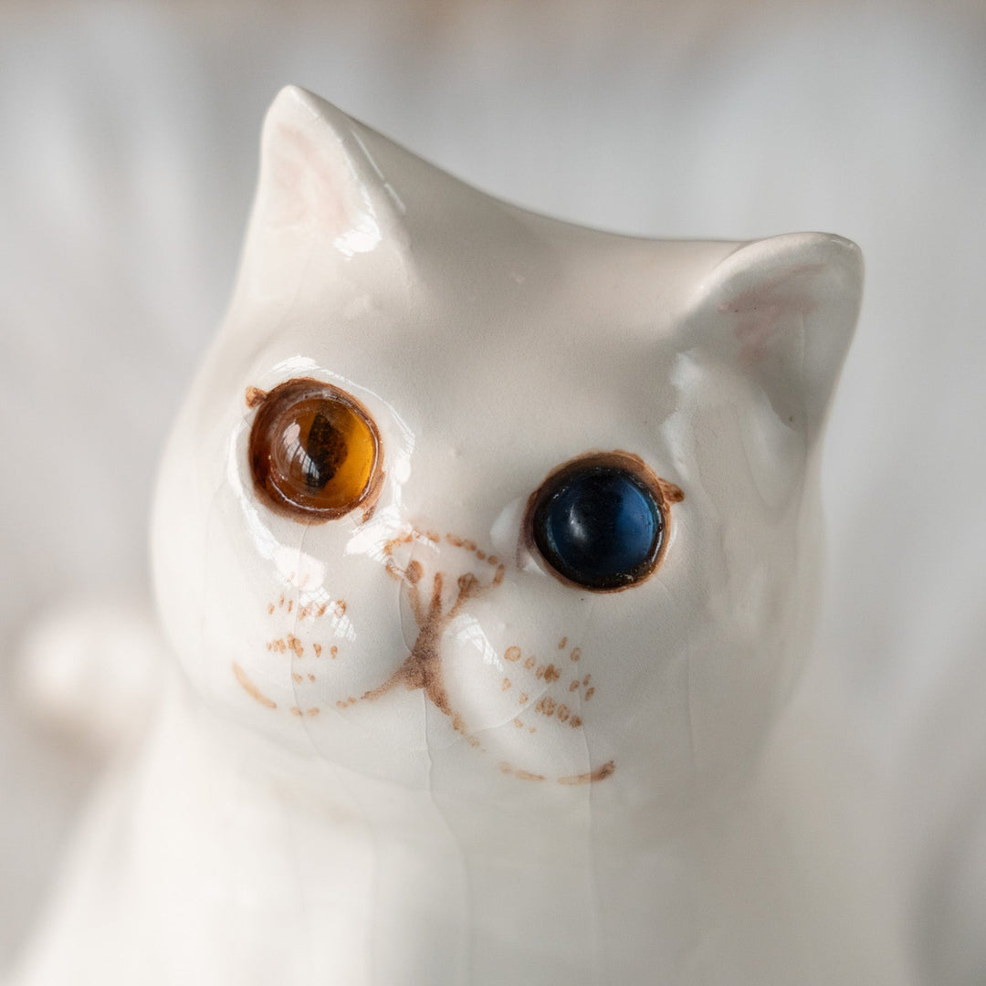 【Winstanley Cat ウィンスタンレイ キャット】どっしりしたフォルムがたまらない可愛さ オッドアイ スノーウィ 白猫 /25L