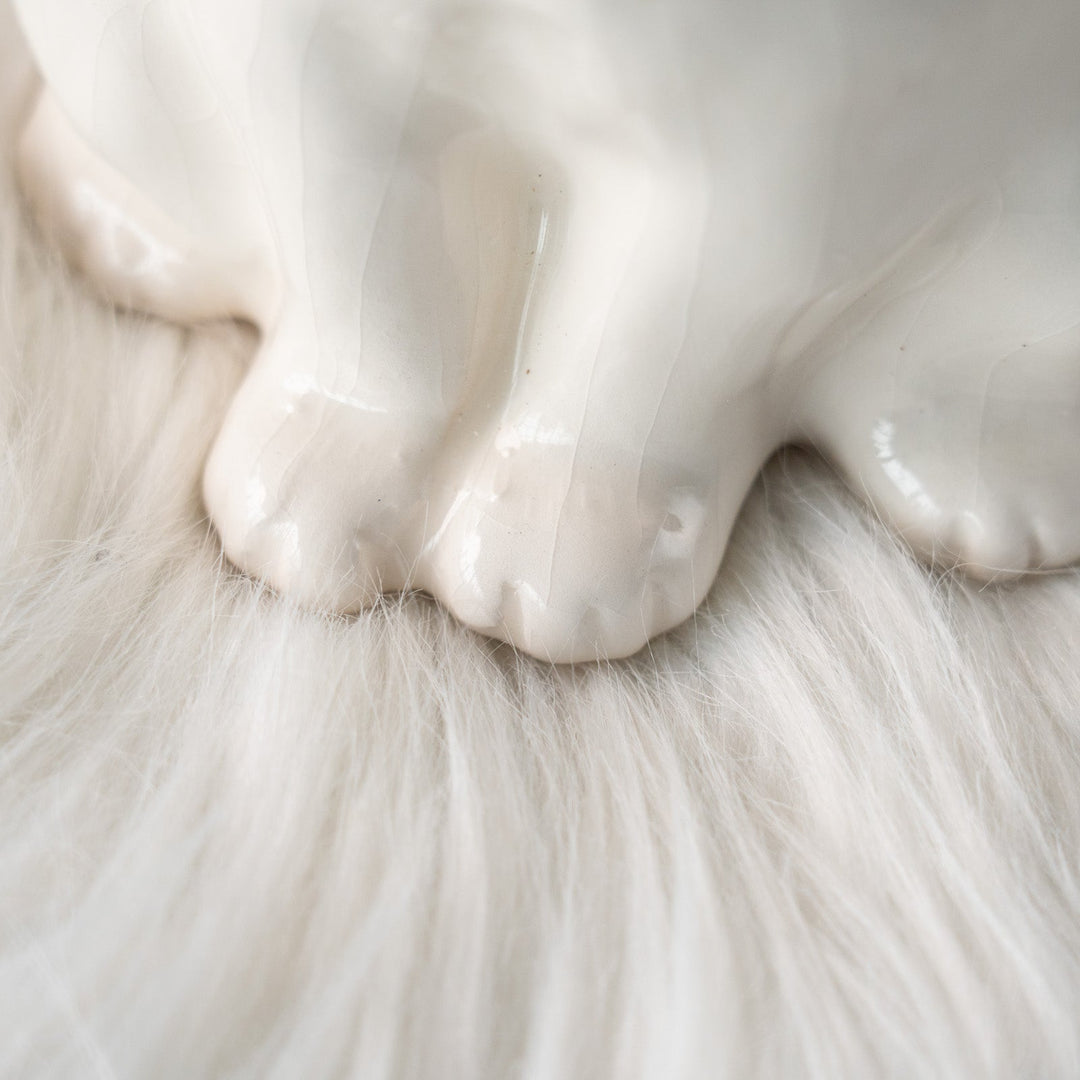 【Winstanley Cat ウィンスタンレイ キャット】どっしりしたフォルムがたまらない可愛さ オッドアイ スノーウィ 白猫 /25L