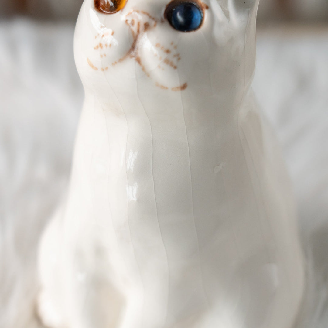 【Winstanley Cat ウィンスタンレイ キャット】どっしりしたフォルムがたまらない可愛さ オッドアイ スノーウィ 白猫 /25L
