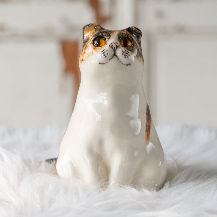 【Winstanley Cat ウィンスタンレイ キャット】どっしりしたフォルムに垂れ耳がチャーミング キャリコ 三毛猫 /25L