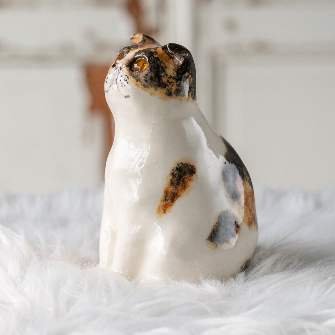 【Winstanley Cat ウィンスタンレイ キャット】どっしりしたフォルムに垂れ耳がチャーミング キャリコ 三毛猫 /25L