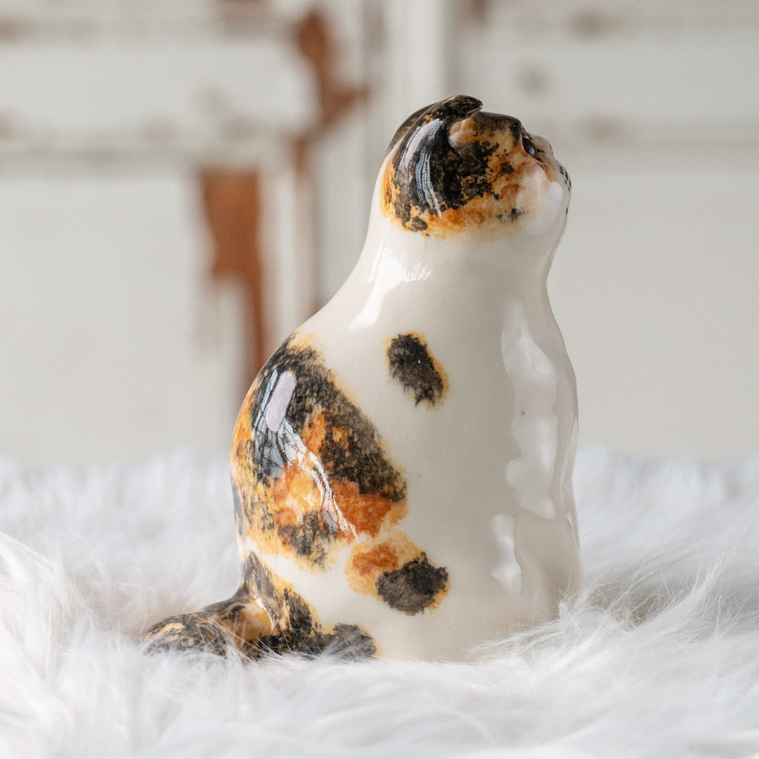 【Winstanley Cat ウィンスタンレイ キャット】どっしりしたフォルムに垂れ耳がチャーミング キャリコ 三毛猫 /25L