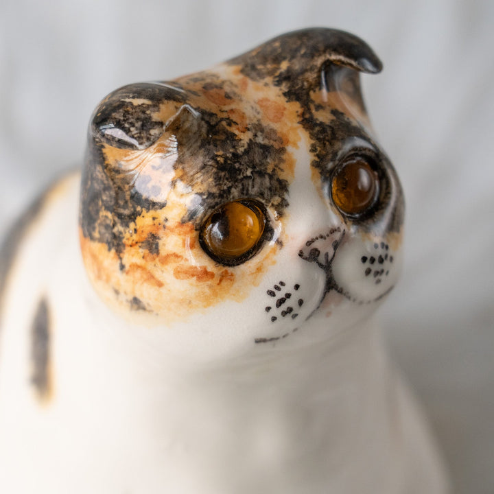 【Winstanley Cat ウィンスタンレイ キャット】どっしりしたフォルムに垂れ耳がチャーミング キャリコ 三毛猫 /25L