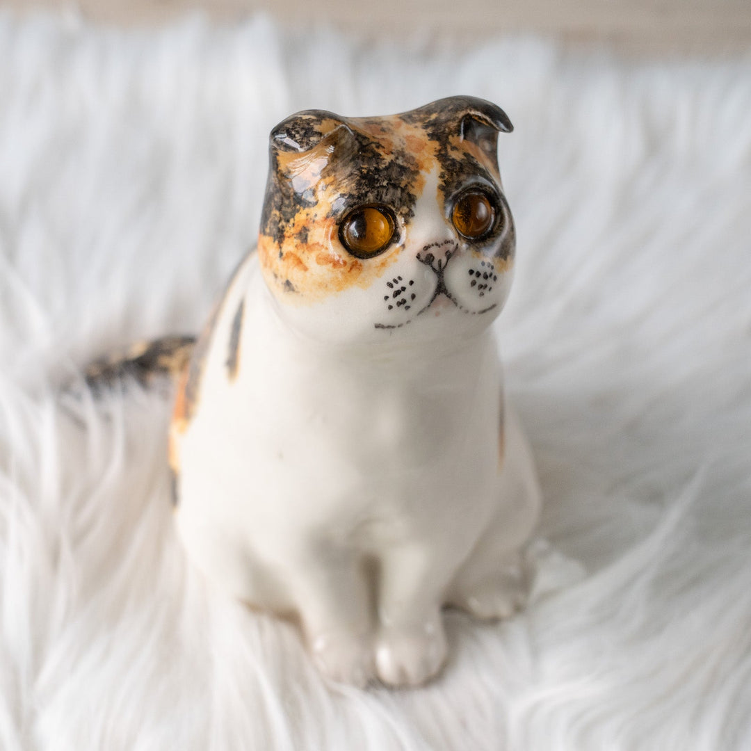 【Winstanley Cat ウィンスタンレイ キャット】どっしりしたフォルムに垂れ耳がチャーミング キャリコ 三毛猫 /25L