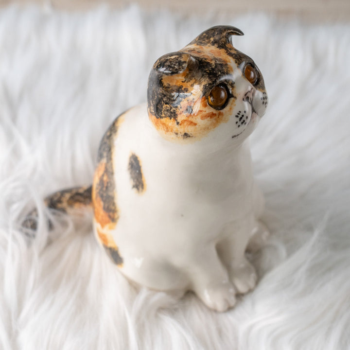 【Winstanley Cat ウィンスタンレイ キャット】どっしりしたフォルムに垂れ耳がチャーミング キャリコ 三毛猫 /25L