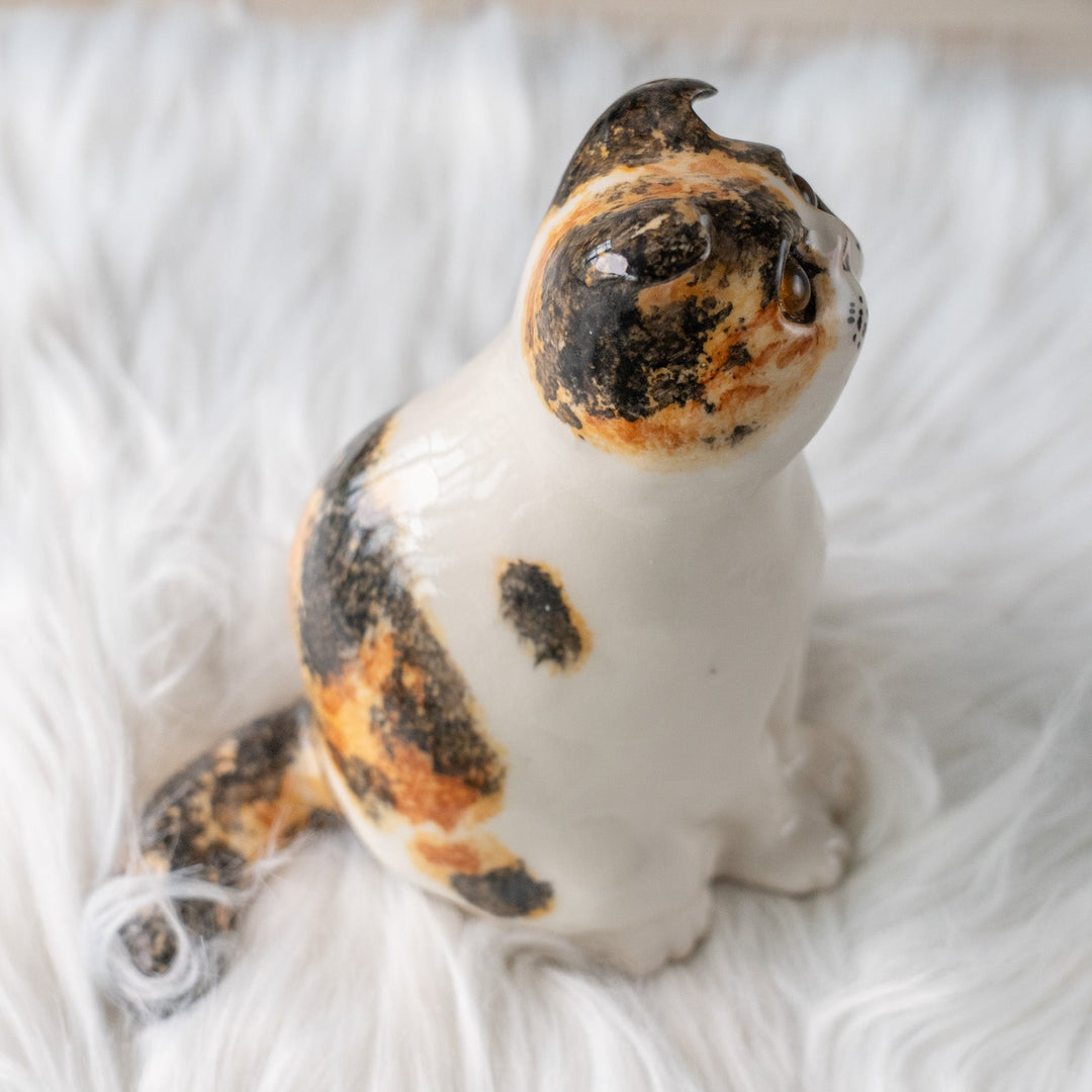 【Winstanley Cat ウィンスタンレイ キャット】どっしりしたフォルムに垂れ耳がチャーミング キャリコ 三毛猫 /25L