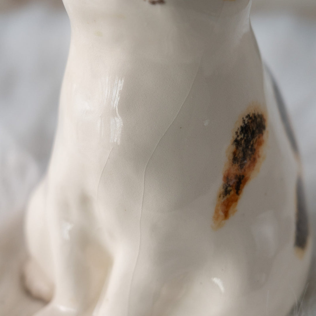 【Winstanley Cat ウィンスタンレイ キャット】どっしりしたフォルムに垂れ耳がチャーミング キャリコ 三毛猫 /25L