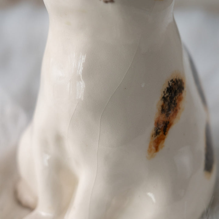 【Winstanley Cat ウィンスタンレイ キャット】どっしりしたフォルムに垂れ耳がチャーミング キャリコ 三毛猫 /25L