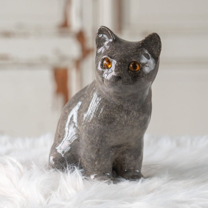 【Winstanley Cat ウィンスタンレイ キャット】きりっとした瞳でこちらを見つめる グレー 灰猫 /25L