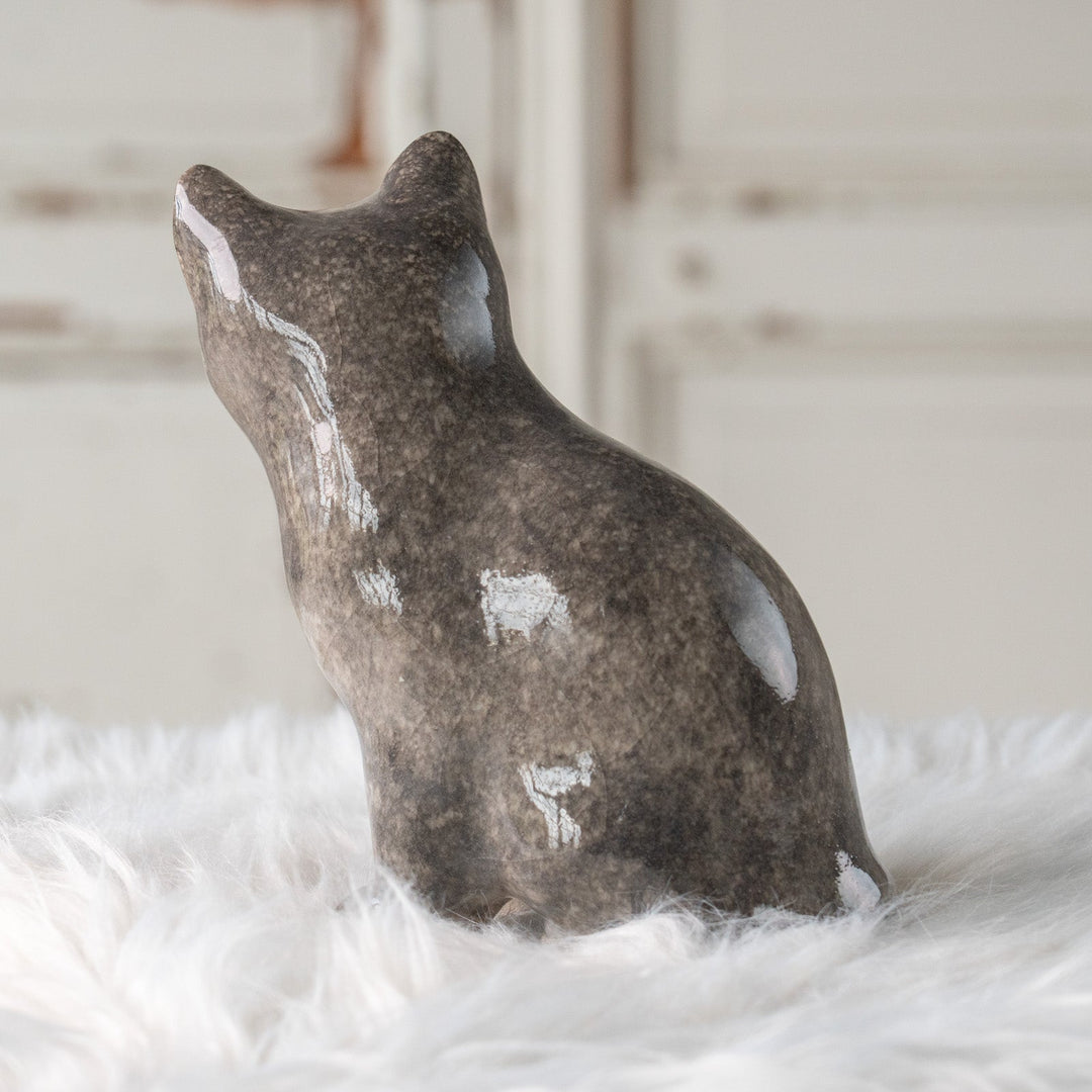 【Winstanley Cat ウィンスタンレイ キャット】きりっとした瞳でこちらを見つめる グレー 灰猫 /25L