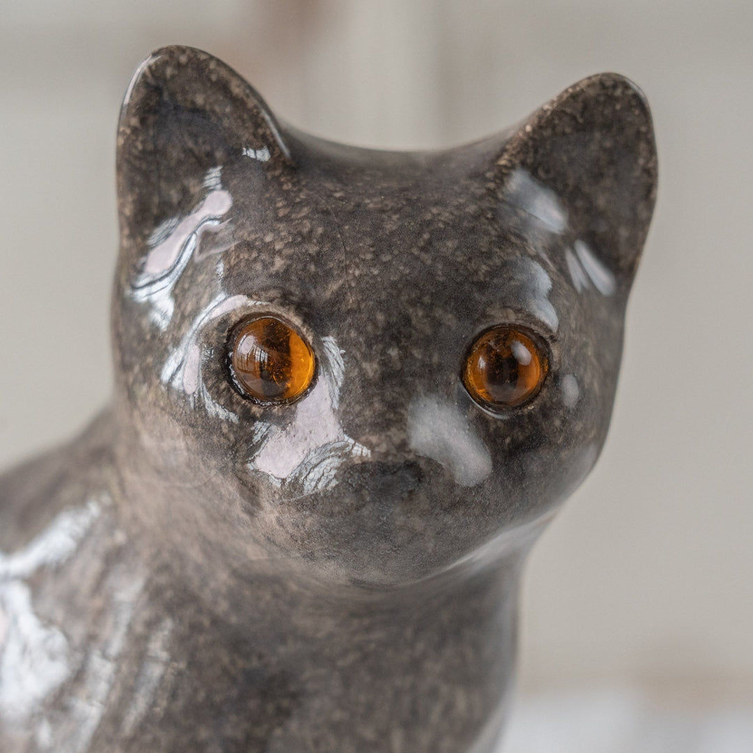 【Winstanley Cat ウィンスタンレイ キャット】きりっとした瞳でこちらを見つめる グレー 灰猫 /25L