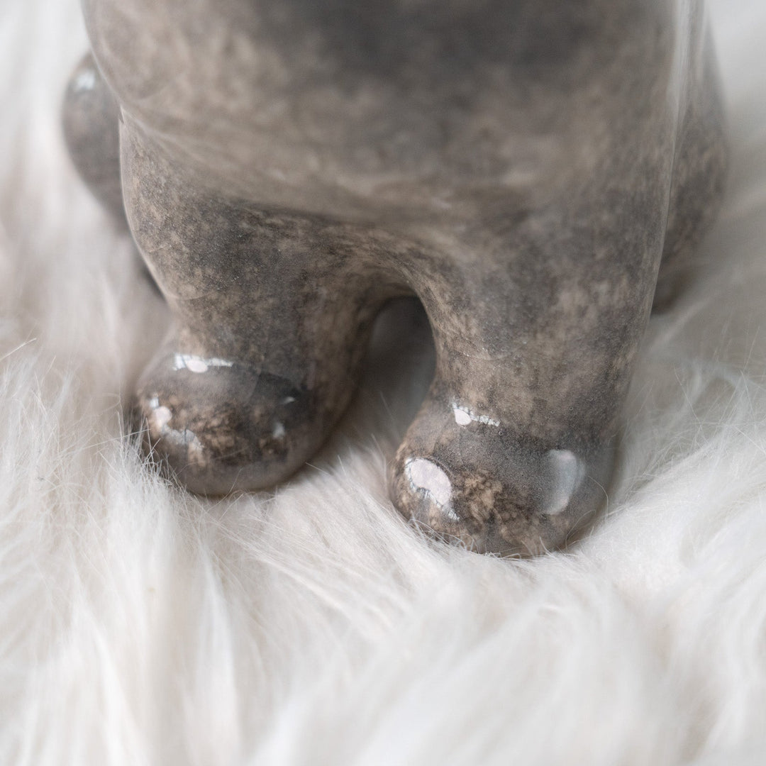 【Winstanley Cat ウィンスタンレイ キャット】きりっとした瞳でこちらを見つめる グレー 灰猫 /25L