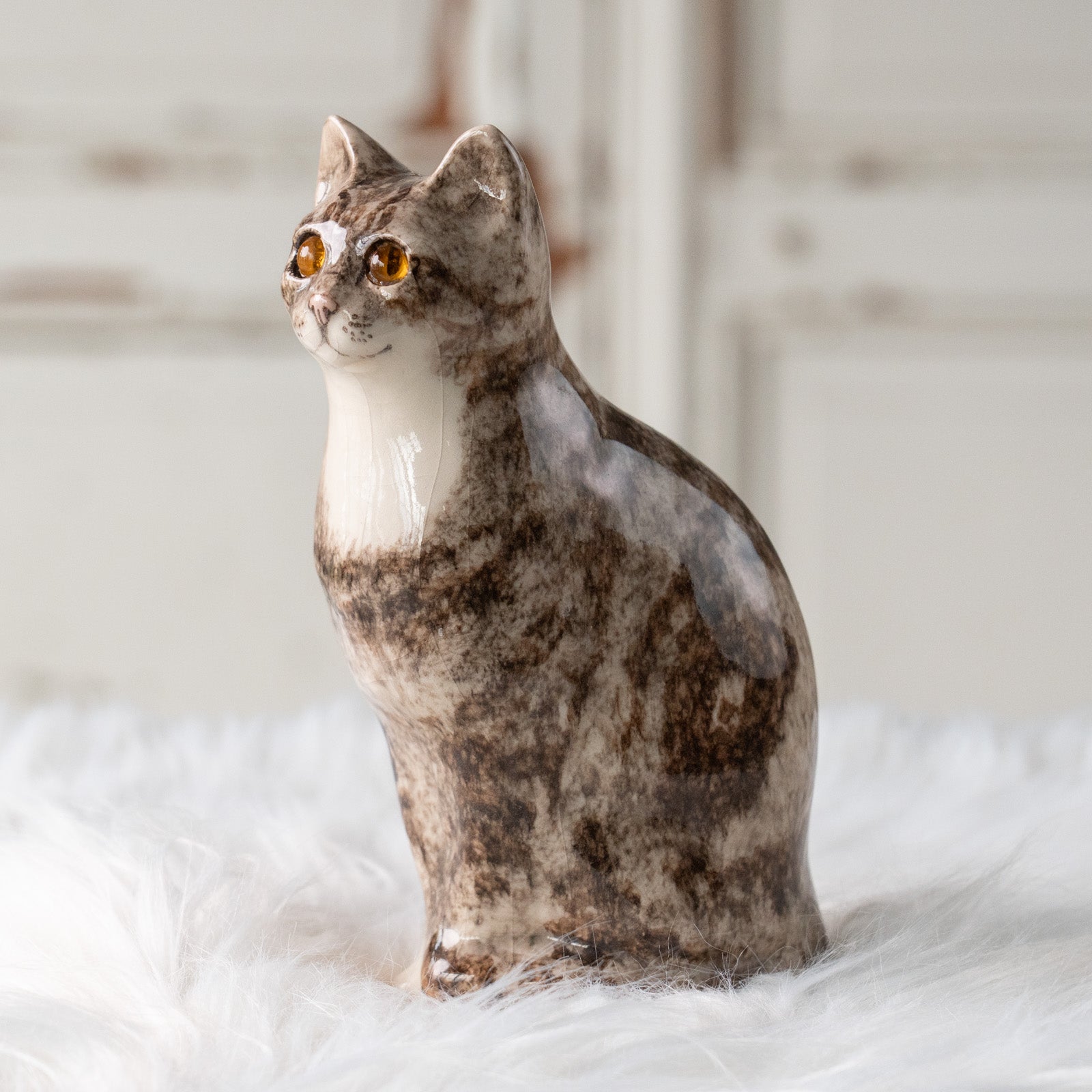 ウィンスタンレイキャットサイズ4の超美人猫SaksFifthAvenue貴重な子