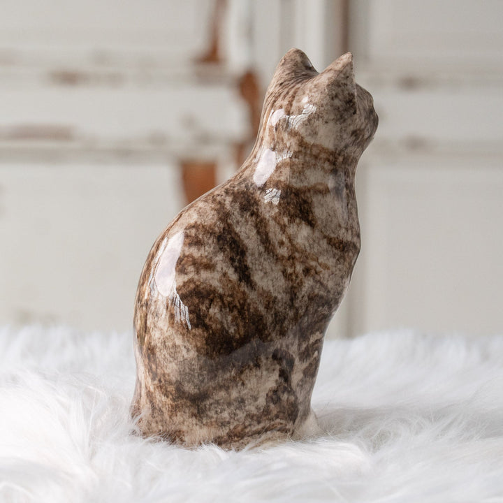 【Winstanley Cat ウィンスタンレイ キャット】両足をきゅっと揃えた上品な佇まい シルバータビー サバトラ猫 /25L