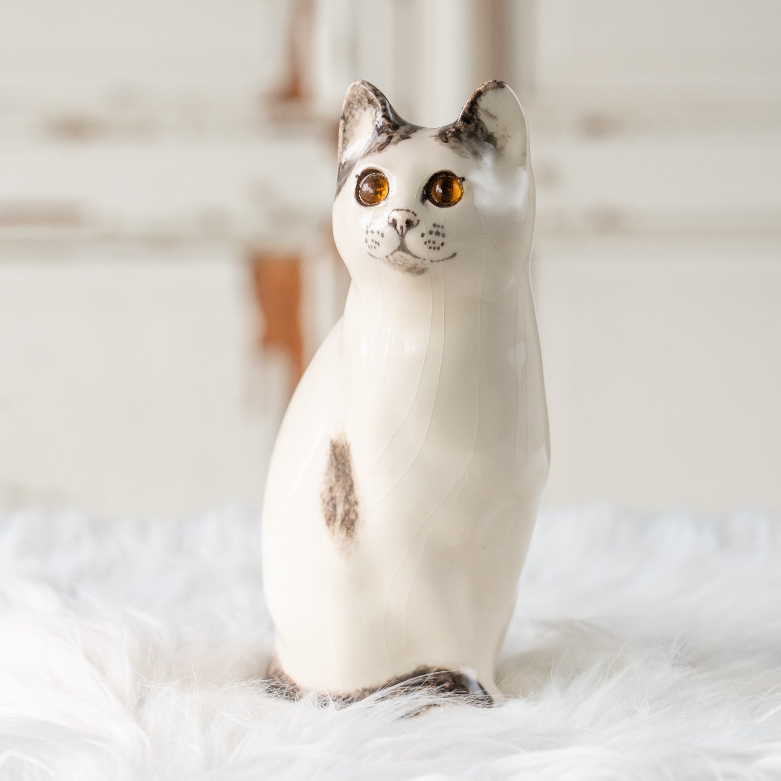 Winstanley Cat ウィンスタンレイ キャット】気品ある顔立ちに背中の