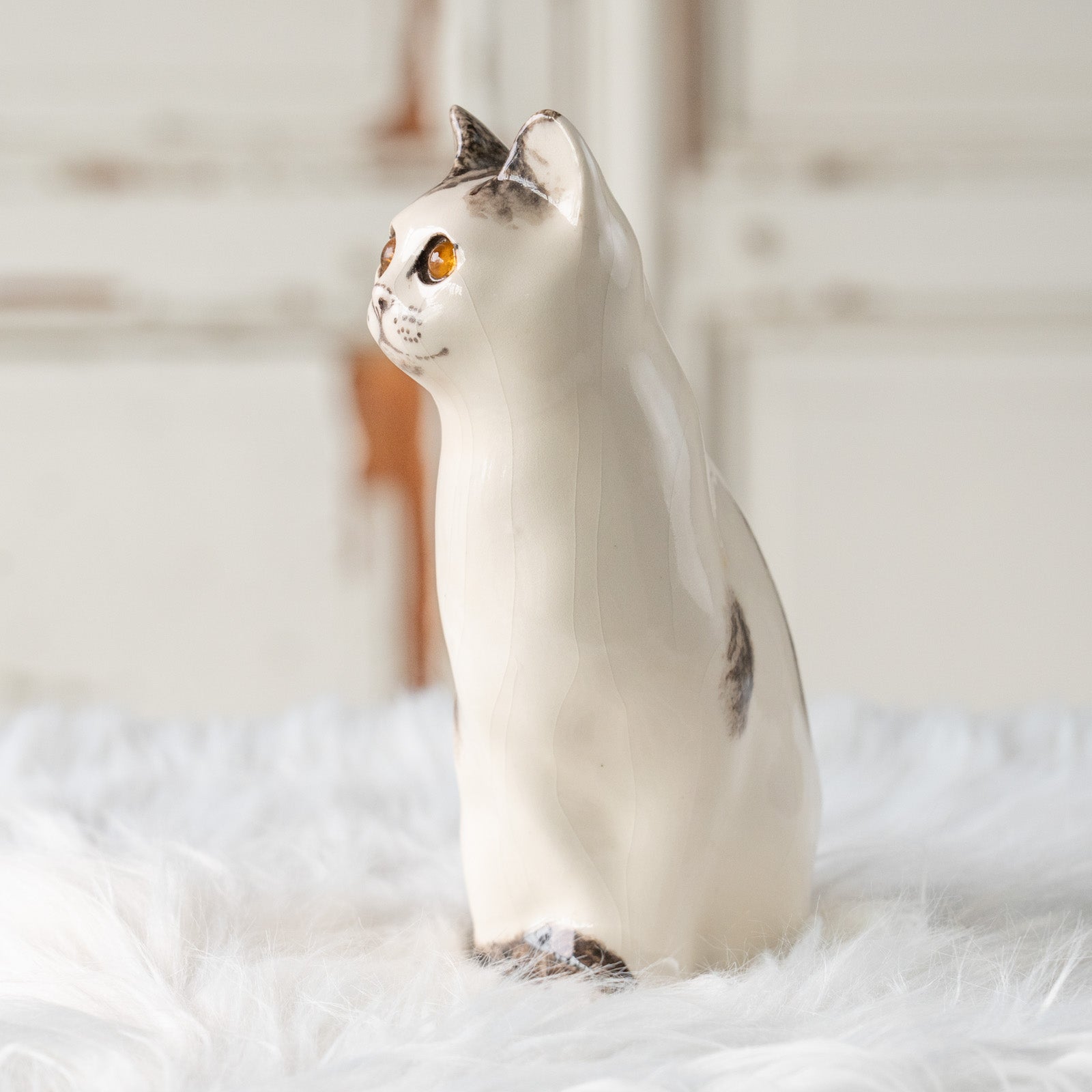 Winstanley Cat ウィンスタンレイ キャット】気品ある顔立ちに背中の
