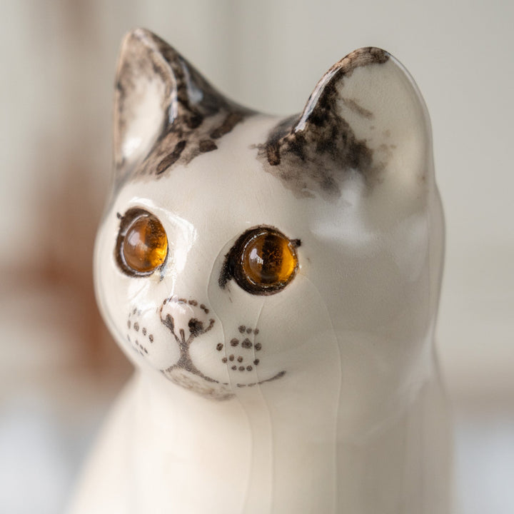 【Winstanley Cat ウィンスタンレイ キャット】気品ある顔立ちに背中の模様がユニーク バイカラー ブチ猫 /25L