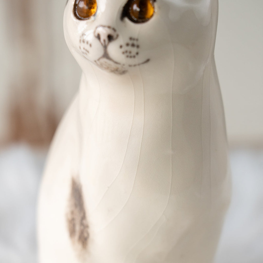 【Winstanley Cat ウィンスタンレイ キャット】気品ある顔立ちに背中の模様がユニーク バイカラー ブチ猫 /25L