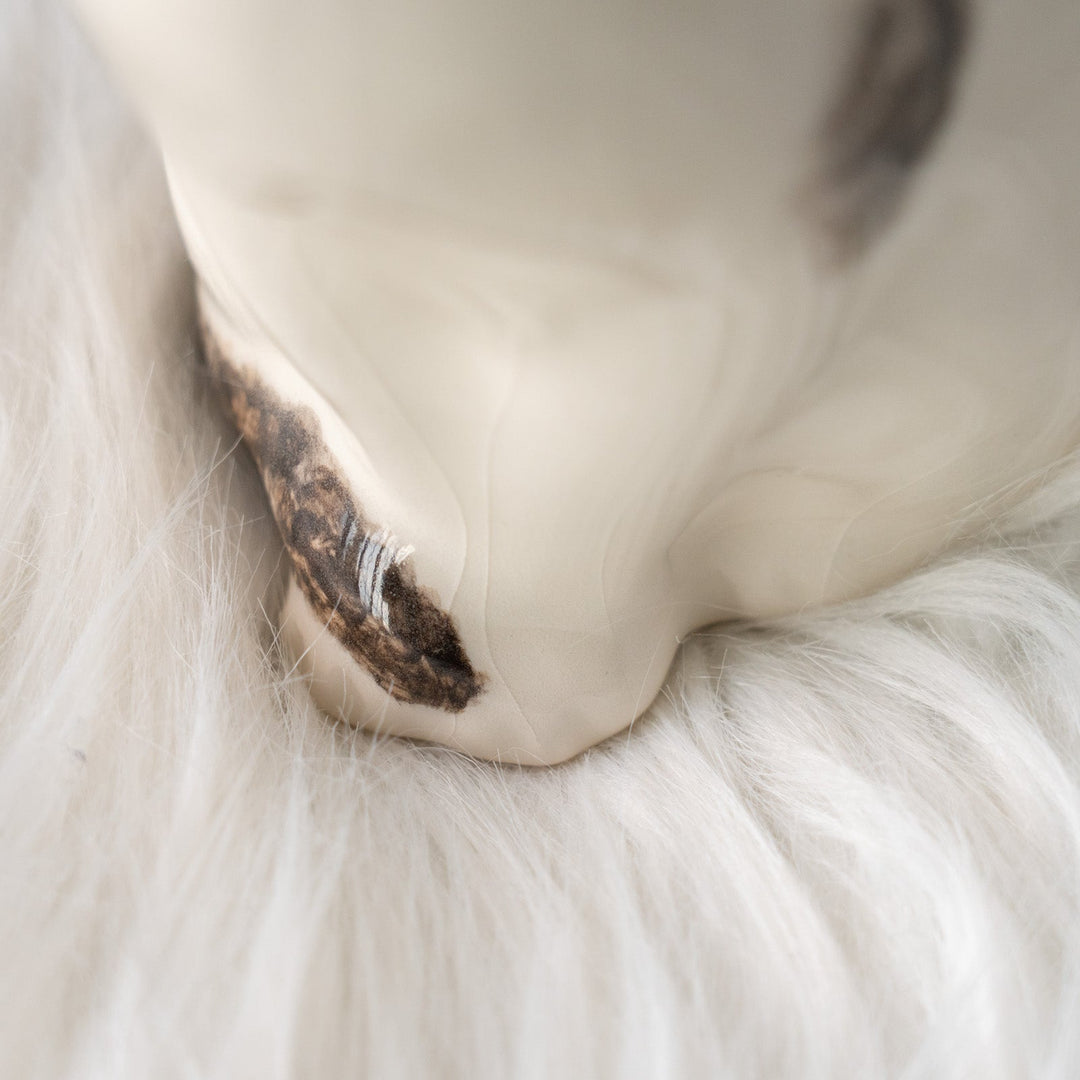 【Winstanley Cat ウィンスタンレイ キャット】気品ある顔立ちに背中の模様がユニーク バイカラー ブチ猫 /25L