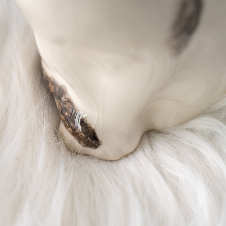 【Winstanley Cat ウィンスタンレイ キャット】気品ある顔立ちに背中の模様がユニーク バイカラー ブチ猫 /25L