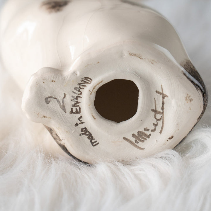 【Winstanley Cat ウィンスタンレイ キャット】気品ある顔立ちに背中の模様がユニーク バイカラー ブチ猫 /25L