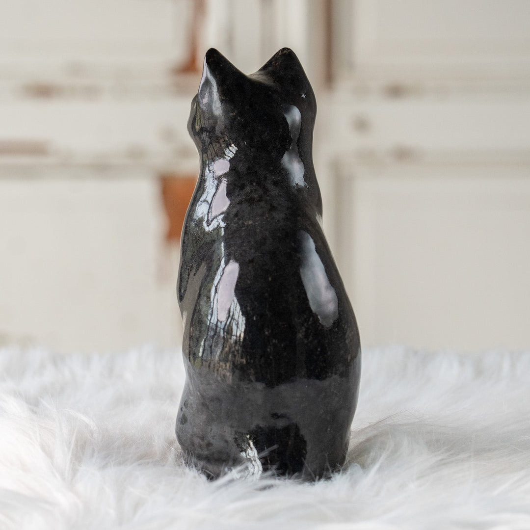 【Winstanley Cat ウィンスタンレイ キャット】両足をきゅっと揃えた上品な佇まい タキシード 白黒猫 /25L-B