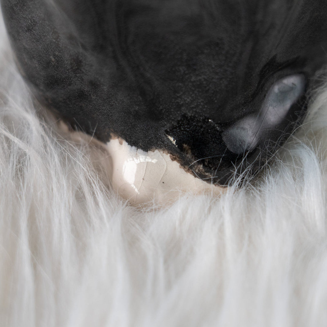 【Winstanley Cat ウィンスタンレイ キャット】両足をきゅっと揃えた上品な佇まい タキシード 白黒猫 /25L-B