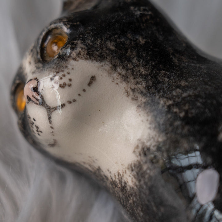 【Winstanley Cat ウィンスタンレイ キャット】両足をきゅっと揃えた上品な佇まい タキシード 白黒猫 /25L-A