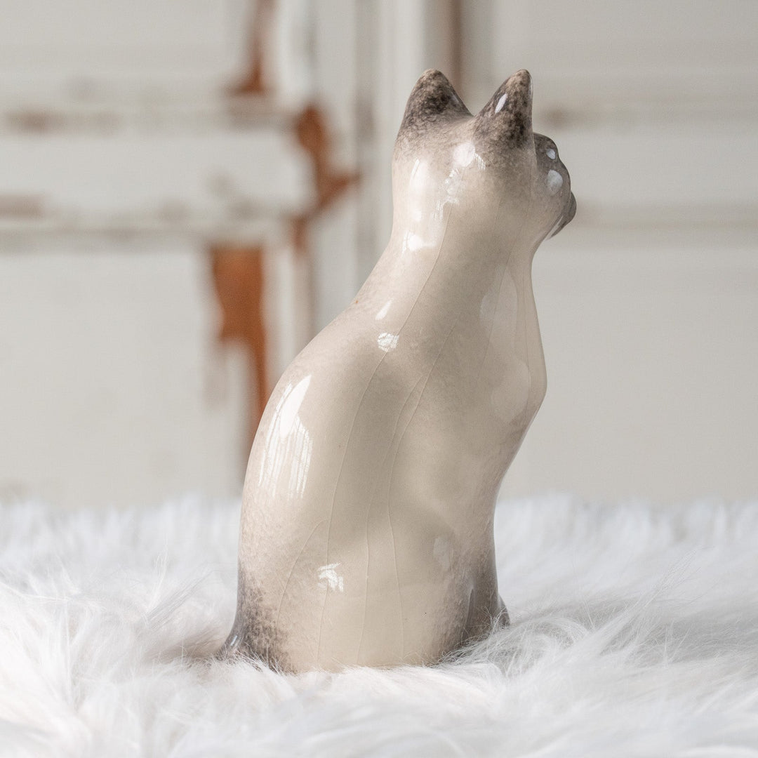 【Winstanley Cat ウィンスタンレイ キャット】両足をきゅっと揃えた上品な佇まい ブルーアイ サイアミーズ シャム猫 /25L