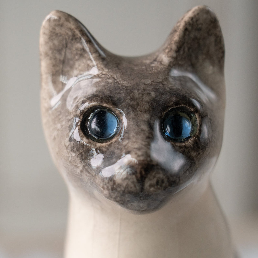 【Winstanley Cat ウィンスタンレイ キャット】両足をきゅっと揃えた上品な佇まい ブルーアイ サイアミーズ シャム猫 /25L