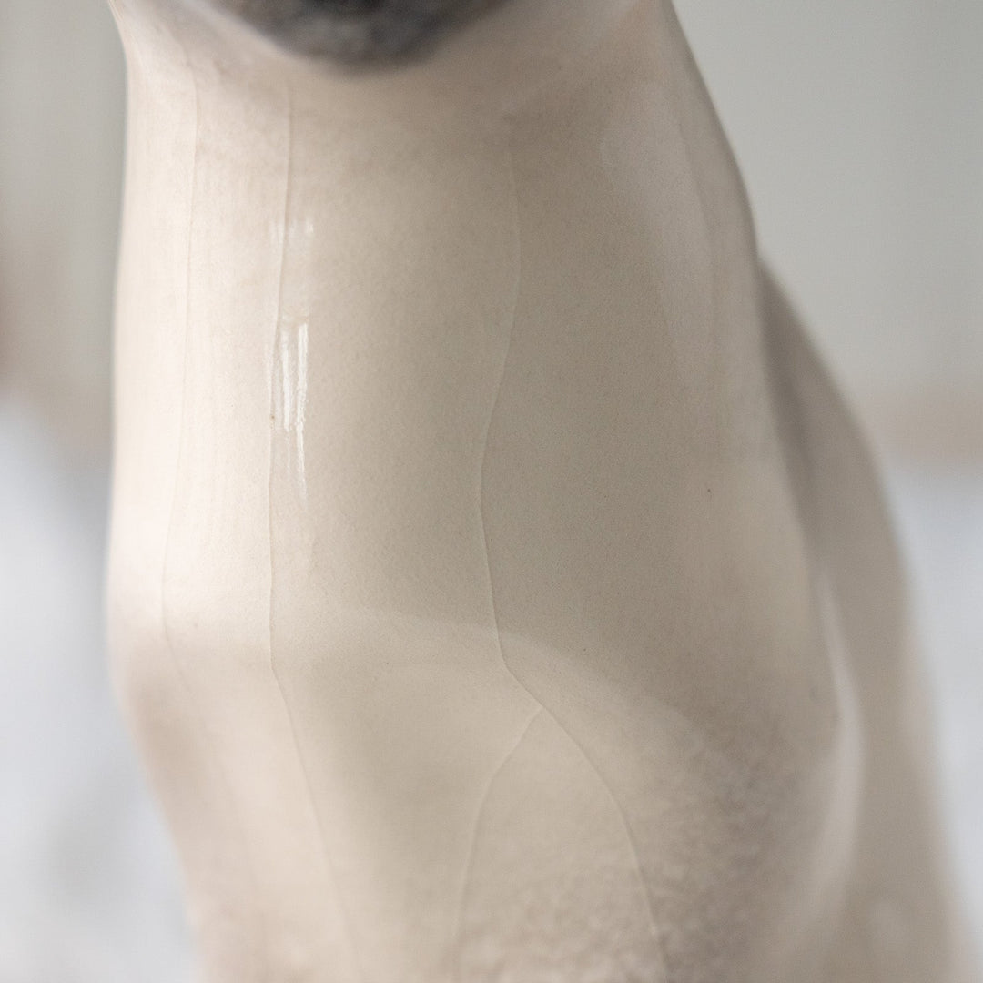 【Winstanley Cat ウィンスタンレイ キャット】両足をきゅっと揃えた上品な佇まい ブルーアイ サイアミーズ シャム猫 /25L