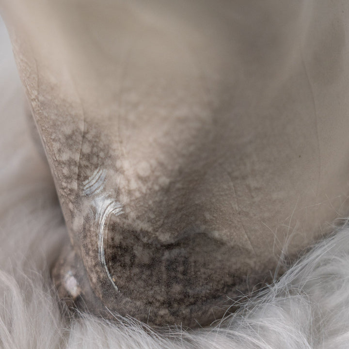 【Winstanley Cat ウィンスタンレイ キャット】両足をきゅっと揃えた上品な佇まい ブルーアイ サイアミーズ シャム猫 /25L