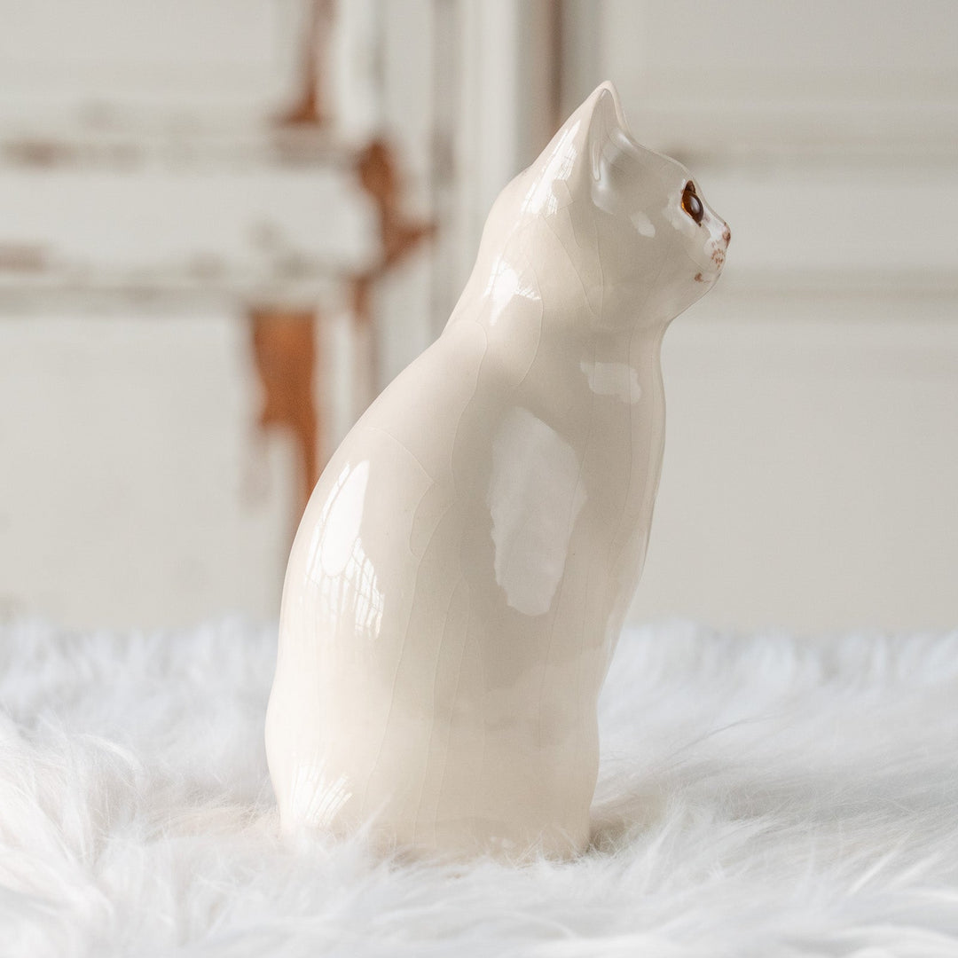 【Winstanley Cat ウィンスタンレイ キャット】真っ白なボディにオッドアイが映える スノーウィ 白猫 /25L