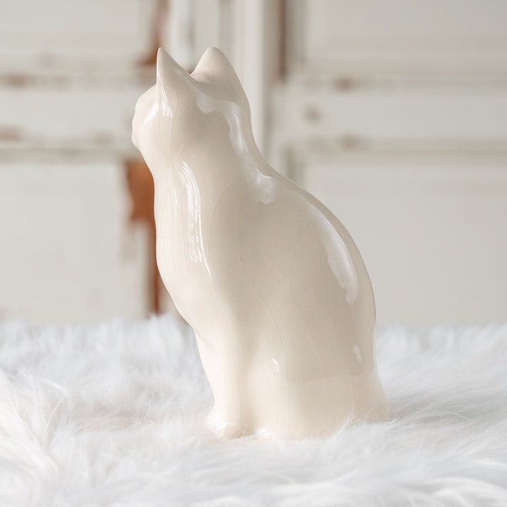 【Winstanley Cat ウィンスタンレイ キャット】真っ白なボディにオッドアイが映える スノーウィ 白猫 /25L