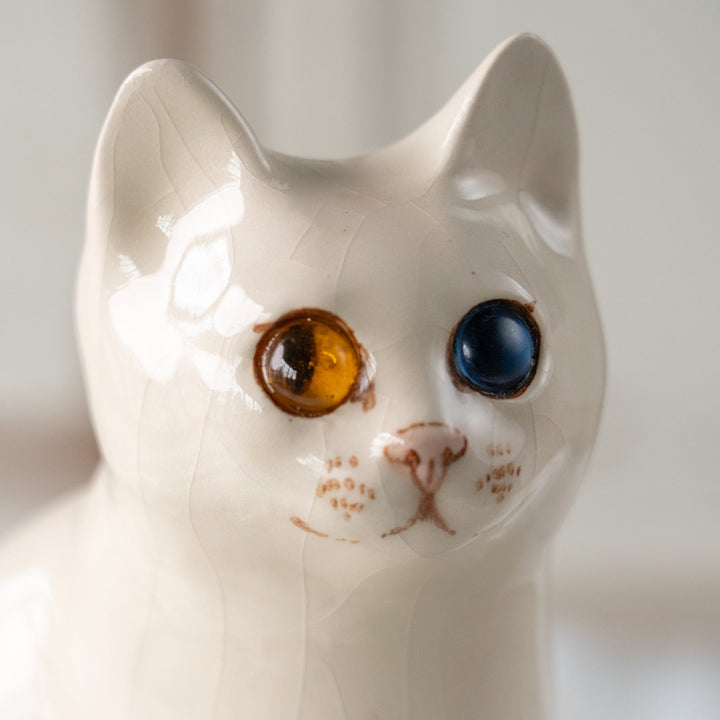 【Winstanley Cat ウィンスタンレイ キャット】真っ白なボディにオッドアイが映える スノーウィ 白猫 /25L