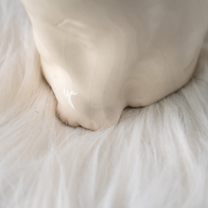 【Winstanley Cat ウィンスタンレイ キャット】真っ白なボディにオッドアイが映える スノーウィ 白猫 /25L