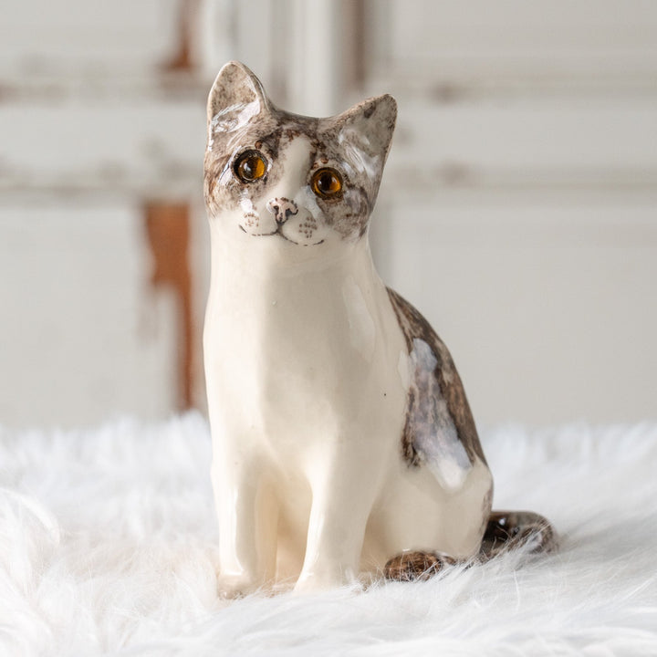 【Winstanley Cat ウィンスタンレイ キャット】小首をかしげた不思議そうな表情が魅力 シルバータビー サバトラ猫 /25L