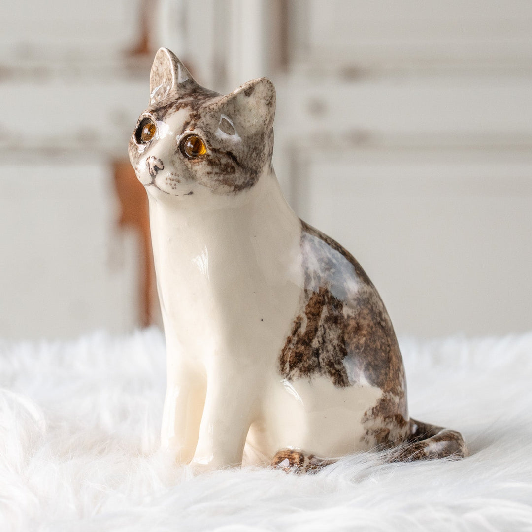 【Winstanley Cat ウィンスタンレイ キャット】小首をかしげた不思議そうな表情が魅力 シルバータビー サバトラ猫 /25L