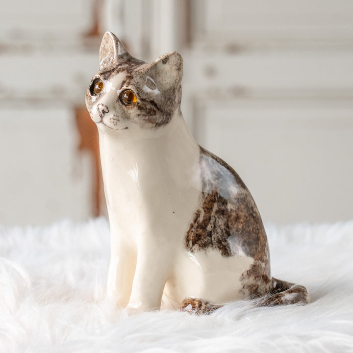 【Winstanley Cat ウィンスタンレイ キャット】小首をかしげた不思議そうな表情が魅力 シルバータビー サバトラ猫 /25L