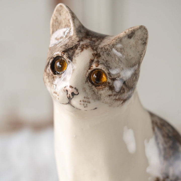 【Winstanley Cat ウィンスタンレイ キャット】小首をかしげた不思議そうな表情が魅力 シルバータビー サバトラ猫 /25L