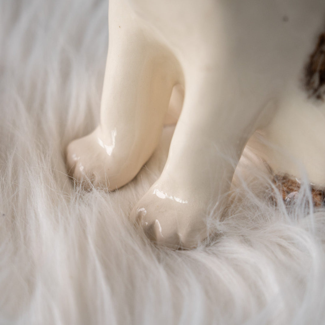 【Winstanley Cat ウィンスタンレイ キャット】小首をかしげた不思議そうな表情が魅力 シルバータビー サバトラ猫 /25L