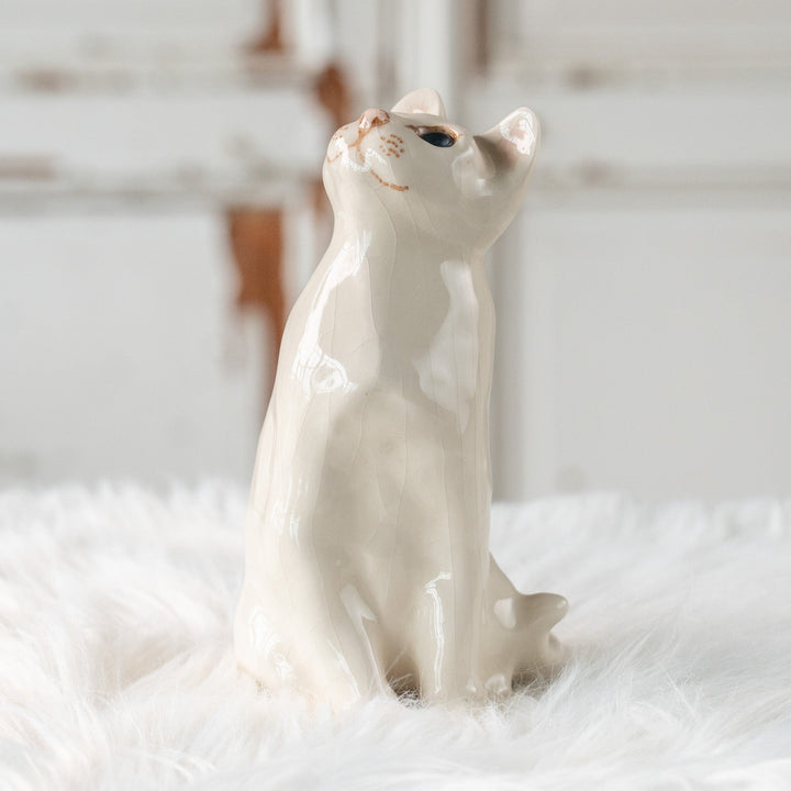 【Winstanley Cat ウィンスタンレイ キャット】美しい瞳でじっと上を見つめる オッドアイ スノーウィー 白猫 /25L