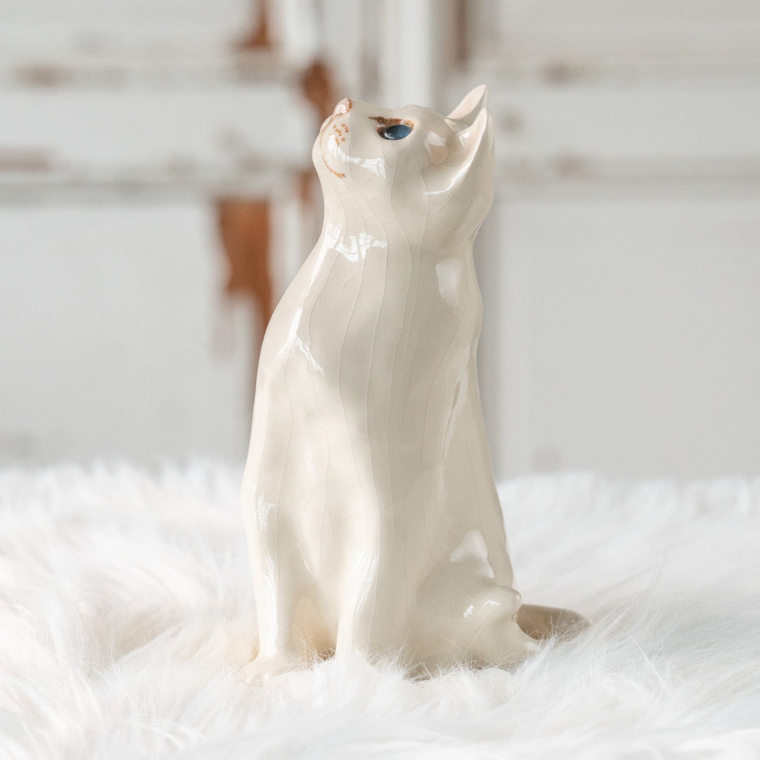 【Winstanley Cat ウィンスタンレイ キャット】美しい瞳でじっと上を見つめる オッドアイ スノーウィー 白猫 /25L