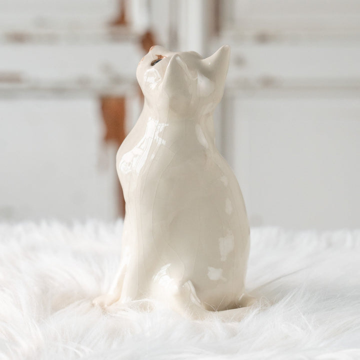 【Winstanley Cat ウィンスタンレイ キャット】美しい瞳でじっと上を見つめる オッドアイ スノーウィー 白猫 /25L