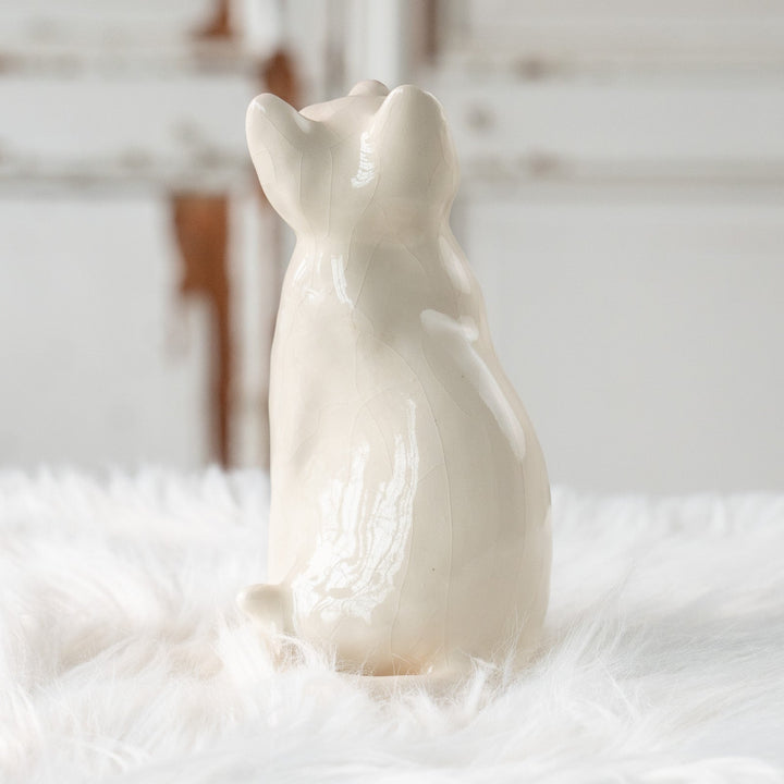 【Winstanley Cat ウィンスタンレイ キャット】美しい瞳でじっと上を見つめる オッドアイ スノーウィー 白猫 /25L