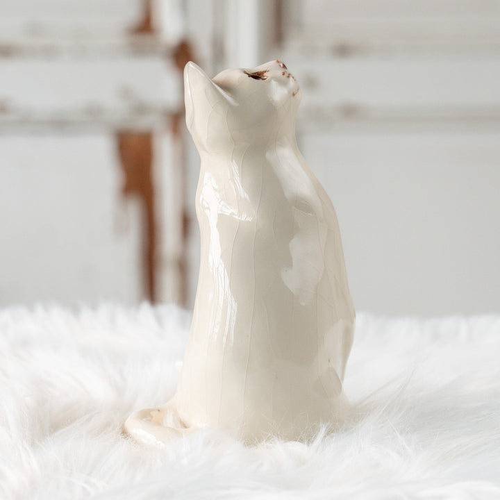 【Winstanley Cat ウィンスタンレイ キャット】美しい瞳でじっと上を見つめる オッドアイ スノーウィー 白猫 /25L