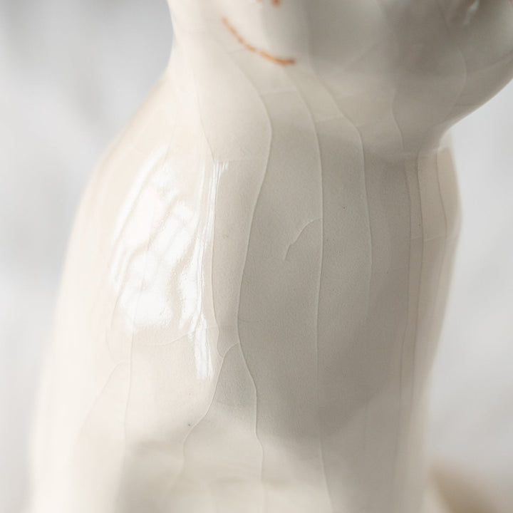 【Winstanley Cat ウィンスタンレイ キャット】美しい瞳でじっと上を見つめる オッドアイ スノーウィー 白猫 /25L