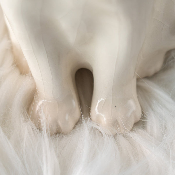 【Winstanley Cat ウィンスタンレイ キャット】美しい瞳でじっと上を見つめる オッドアイ スノーウィー 白猫 /25L